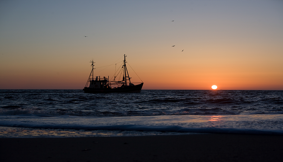 Foto: Nina Wedell